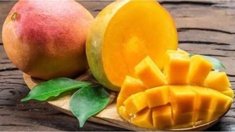 Mangoes Recalled Over Potential Salmonella Contamination
