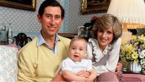 Prince Harry Reportedly Plans Film About Princess Diana